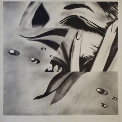 James Rosenquist, Zone, 1972, Litografi (5/60), 78x78 cm.