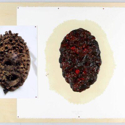 Sarkis, 2014.02 d'après masque KRAN, 2014, Ahşap üzerine arşivsel inkjet baskı, 300 g. Arches kağıdı üzerine yağlıboya, plexi kutu, 65x84x7 cm.