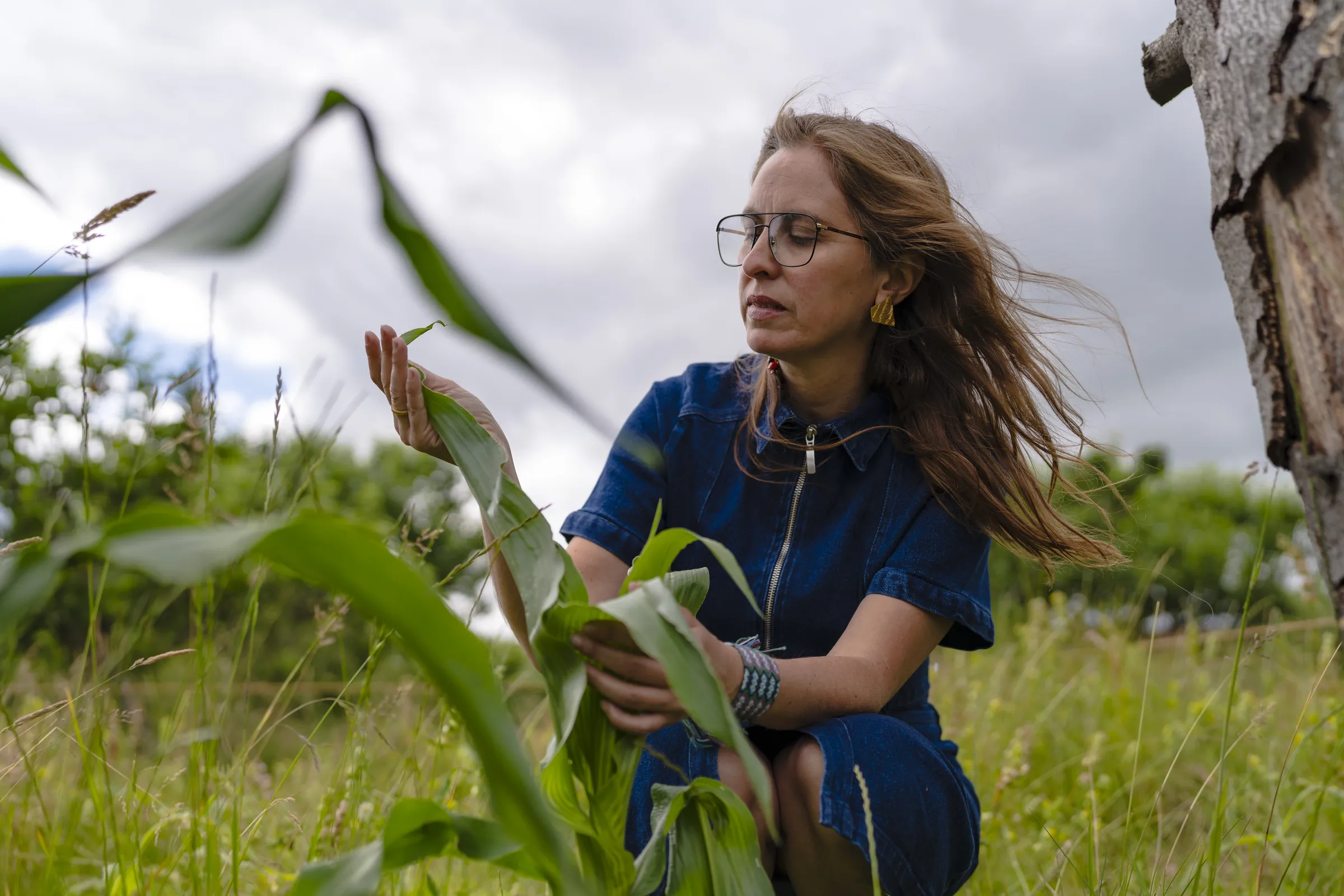 Harewood Biennial 2024 Create Elevate, Lucia Pizzani Cultivo y Memoria credit Drew Forsyth courtesy Harewood House Trust-453