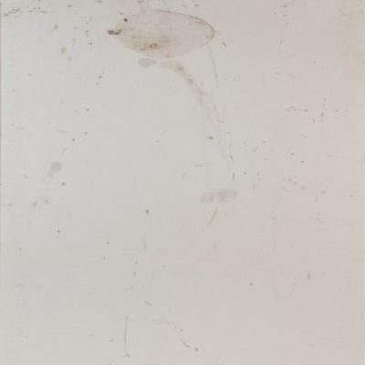 Suat Akdemir, Organic formation series, 2003-2005, Organic formation and pigment on canvas, 172 x 125 cm.