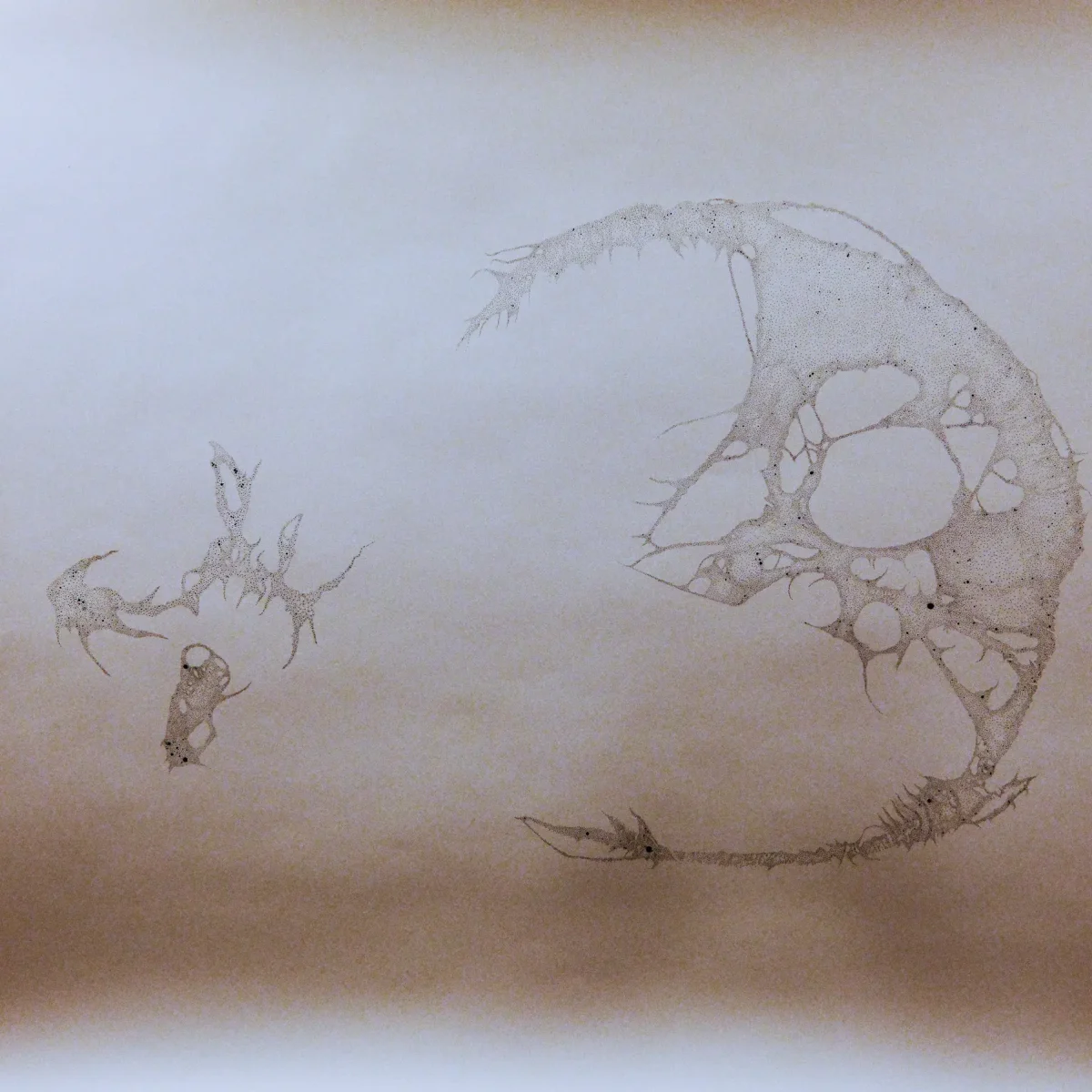 copy of su forfb 1106