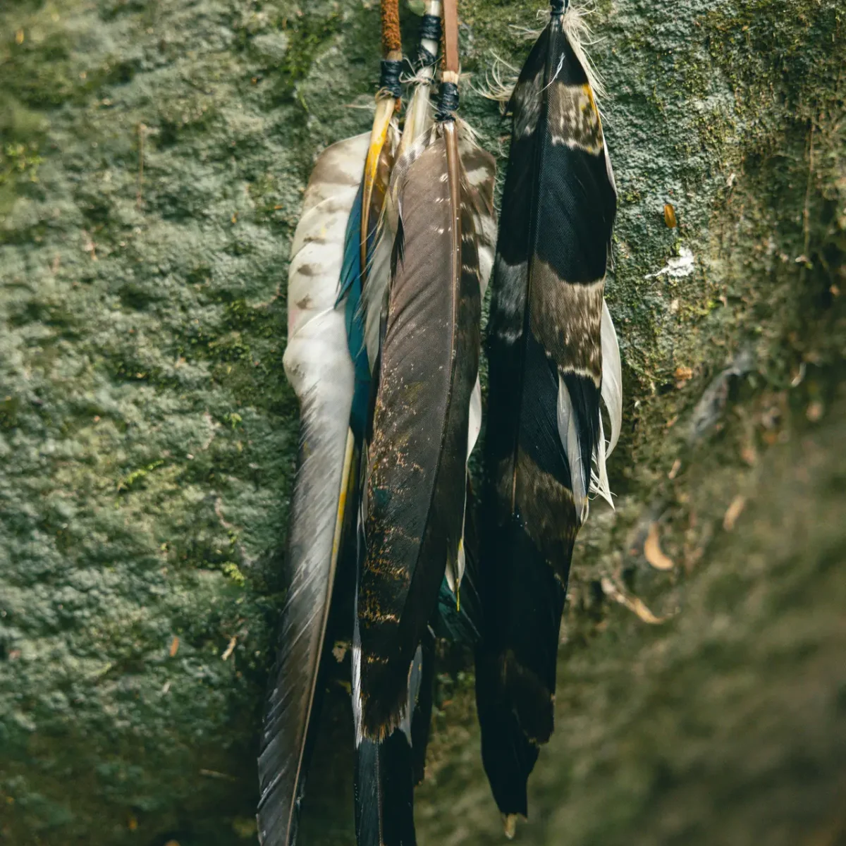 fellipe ditadi xd jxw7eqne unsplash