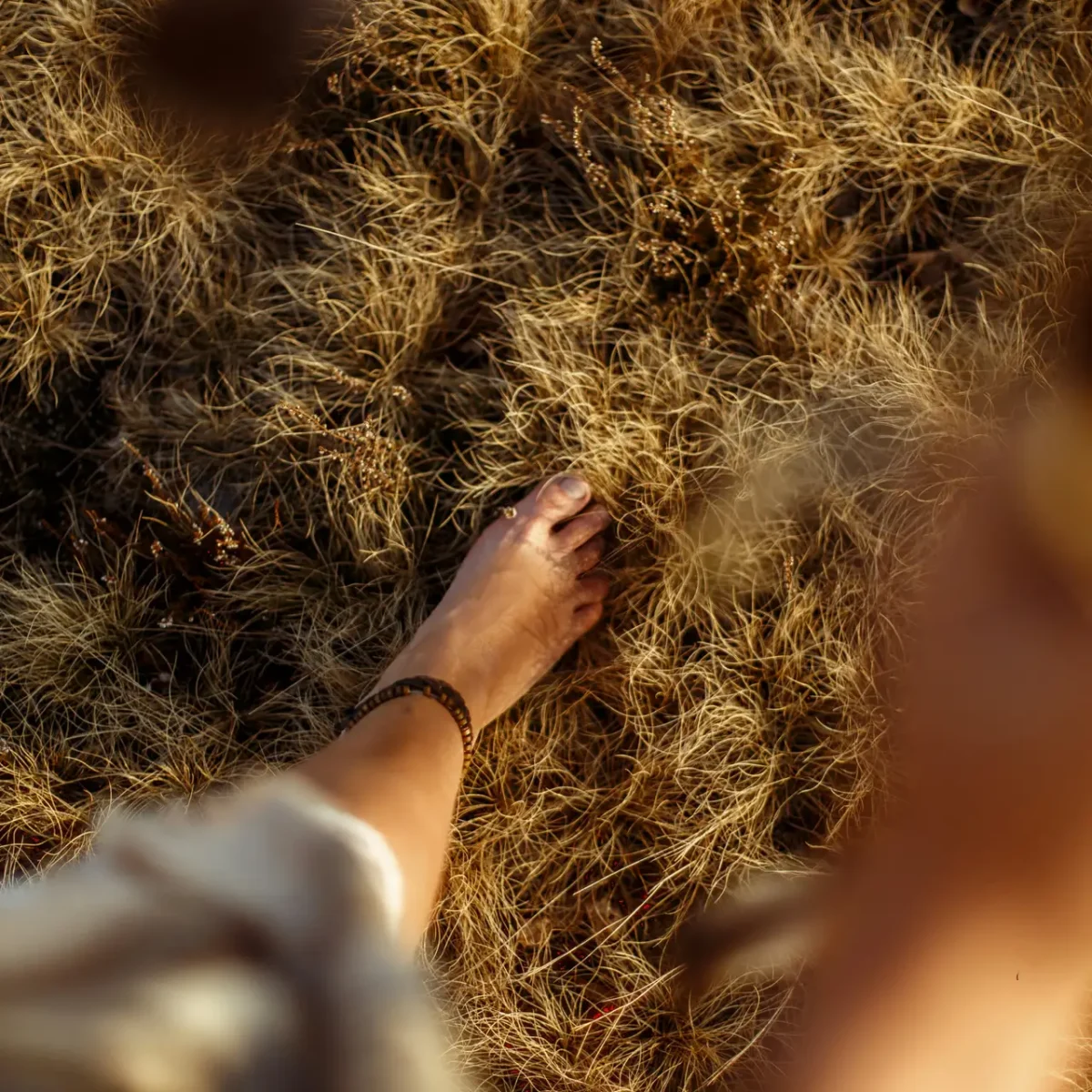 getty images divclvxadbu unsplash