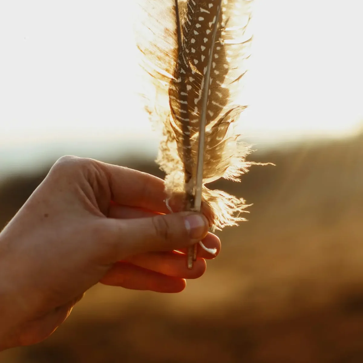 getty images exdjojv9xxw unsplash