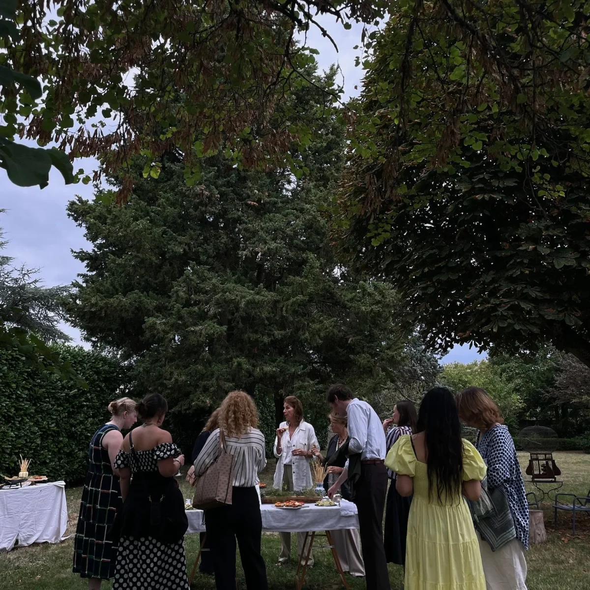 img 7801