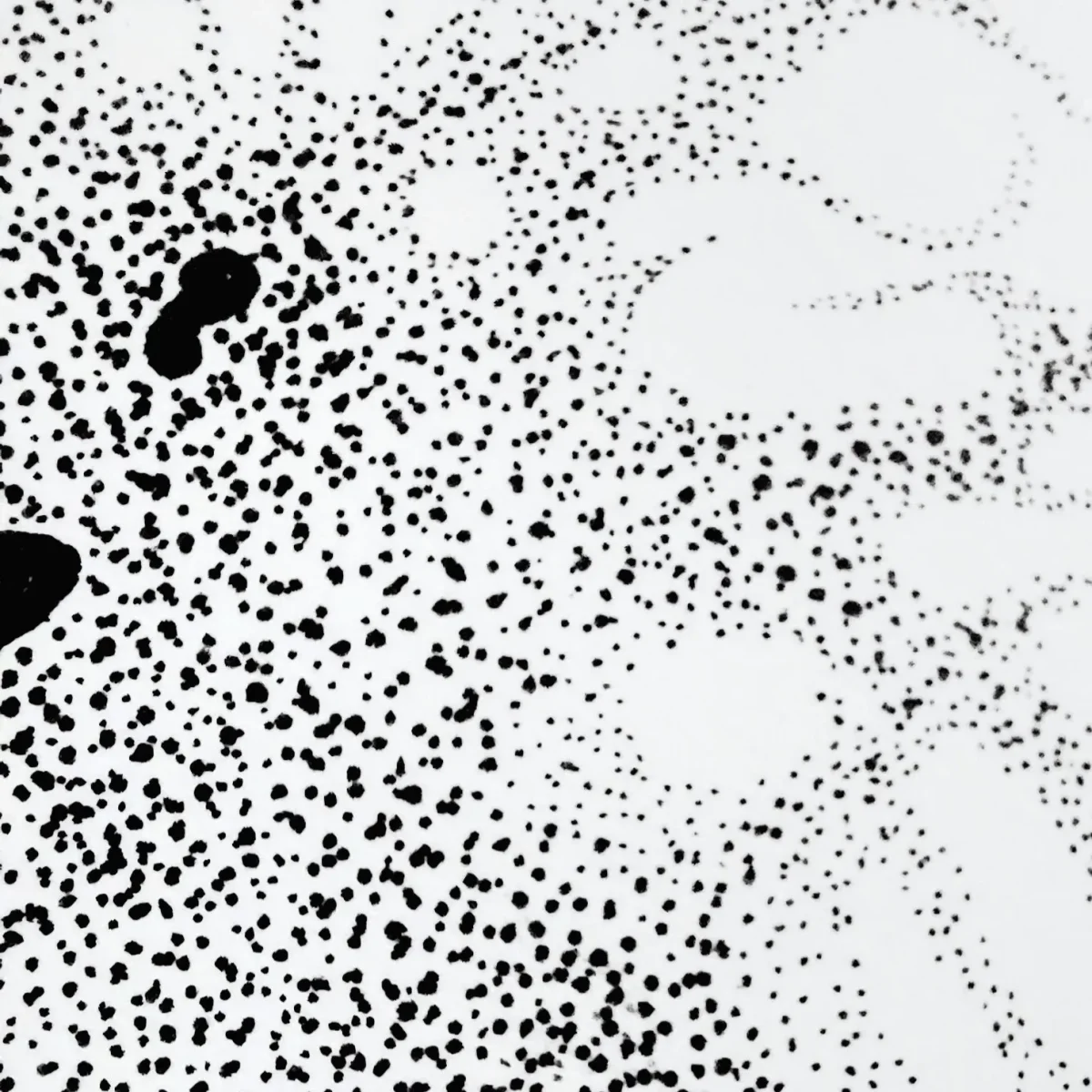 victoriahelena close up ra